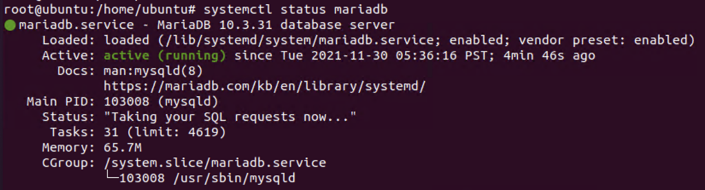 Check mariadb status