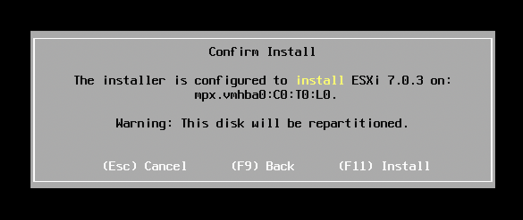 ESXi Installer Confirm Install