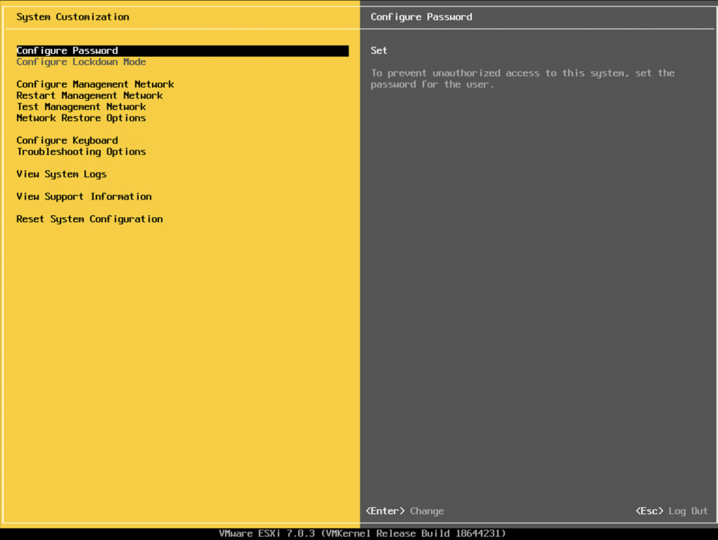 VMware ESXi DCUI Settings