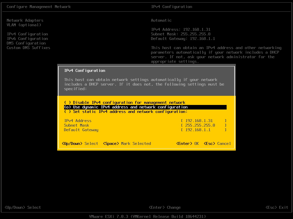 VMware Tutorial: Configure ESXi Host Management Network - noobquestions