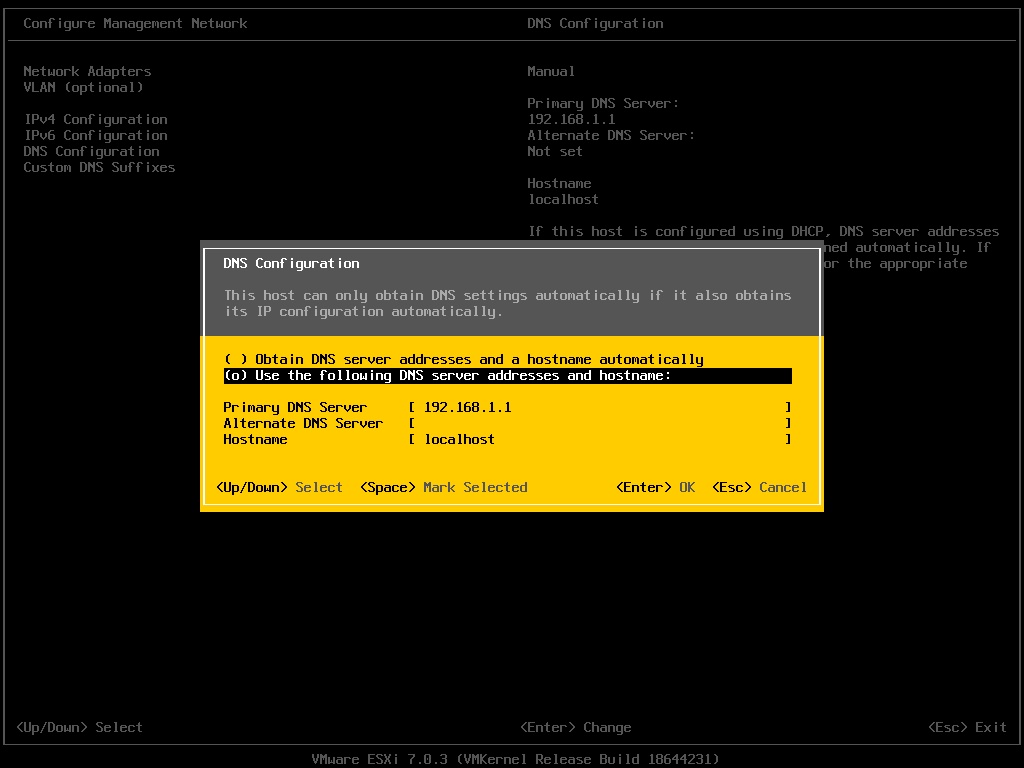 ESXi Hostname and DNS Configuration - Original