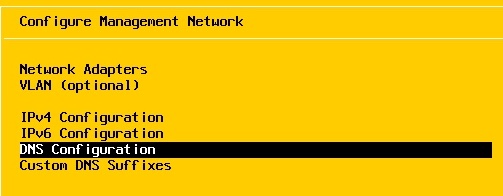 ESXi DNS Configuration Page