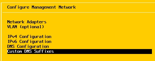 ESXi Custom DNS Suffixes Configuration Page