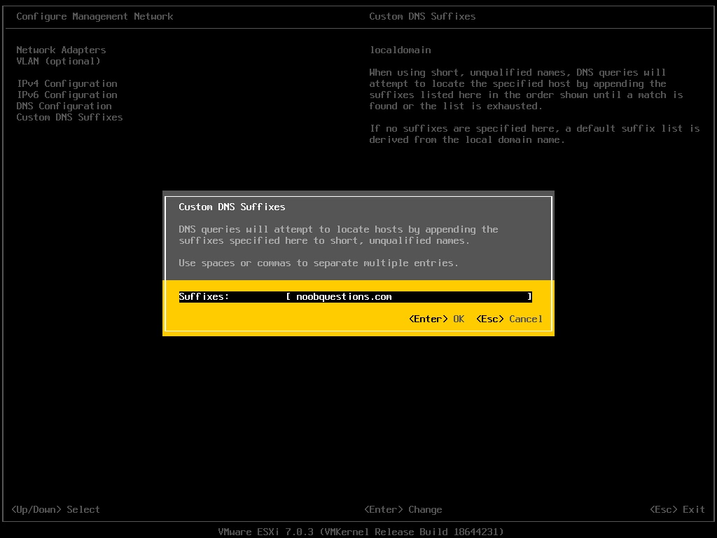 ESXi Configure DNS Suffixes - New