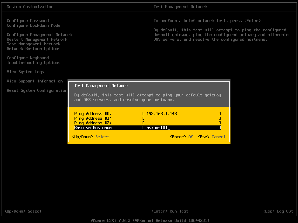 ESXi Test Management Network