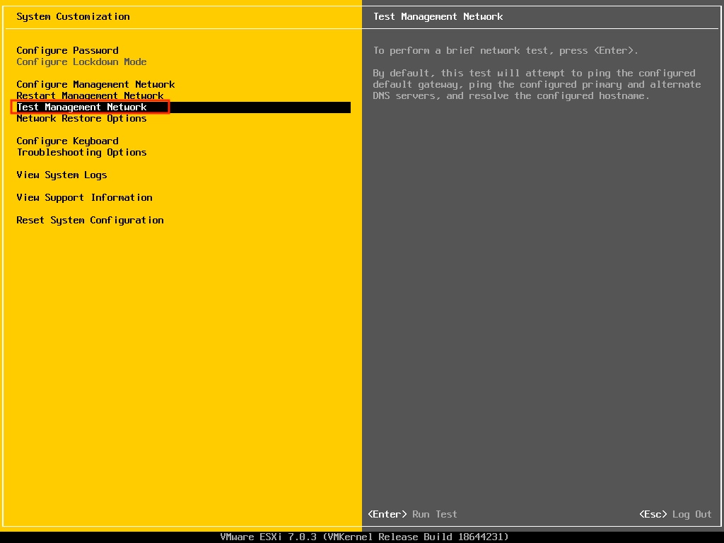 ESXi DCUI Test Management Network Option