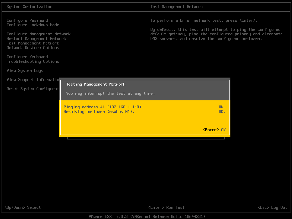 ESXi Test Management Network Result